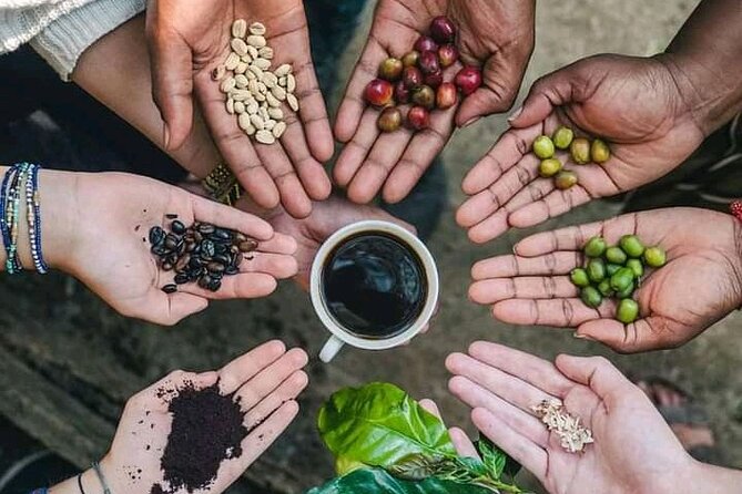 Materuni Waterfall Coffee Tour and Chemka Hot Springs Experience - Key points at a glance