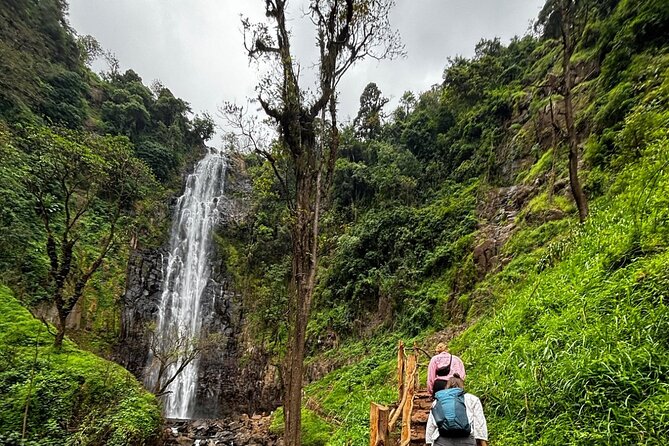 Materuni Waterfall Coffee Tour and Chemka Hot Springs Experience - Who should book this experience