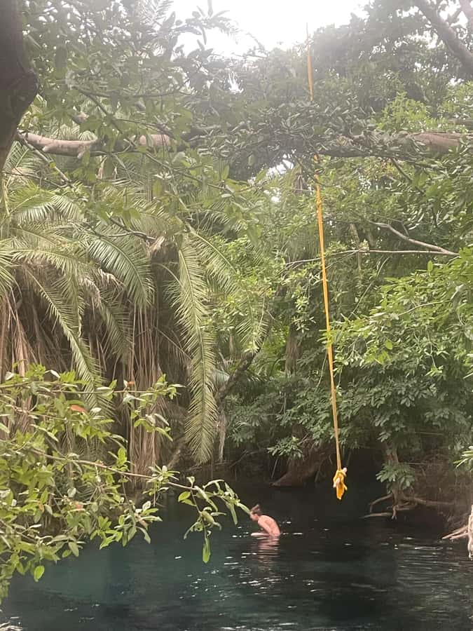 Materuni Waterfall, Coffee Tour & Hot Springs- Maasai tour - Who will enjoy this day most