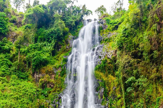 Materuni waterfall - coffee tour OR Chemka hot spring Tour - Key points to know before booking