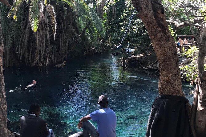 Materuni waterfall - coffee tour OR Chemka hot spring Tour - Transport, pickup, and guide service