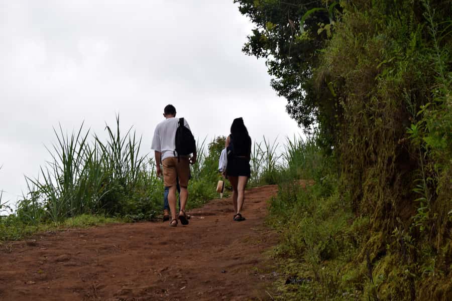 Materuni Waterfalls, Chemka Hot Springs, &/Or Coffee Tour - Key points at a glance