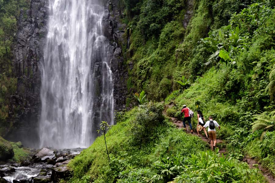 Materuni Waterfalls, Chemka Hot Springs, &/Or Coffee Tour - Why this day trip works so well