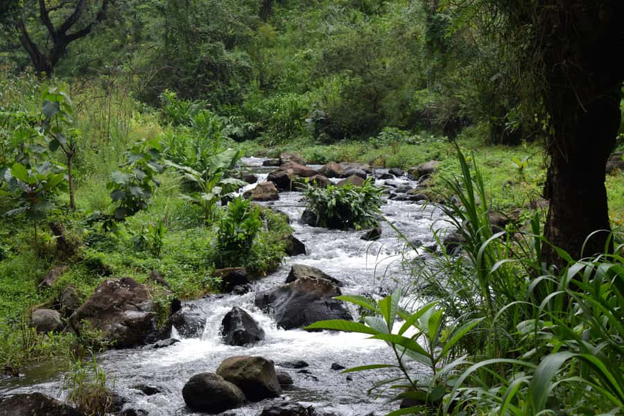 Materuni Waterfalls, Chemka Hot Springs, &/Or Coffee Tour - Chemka Springs after the hike