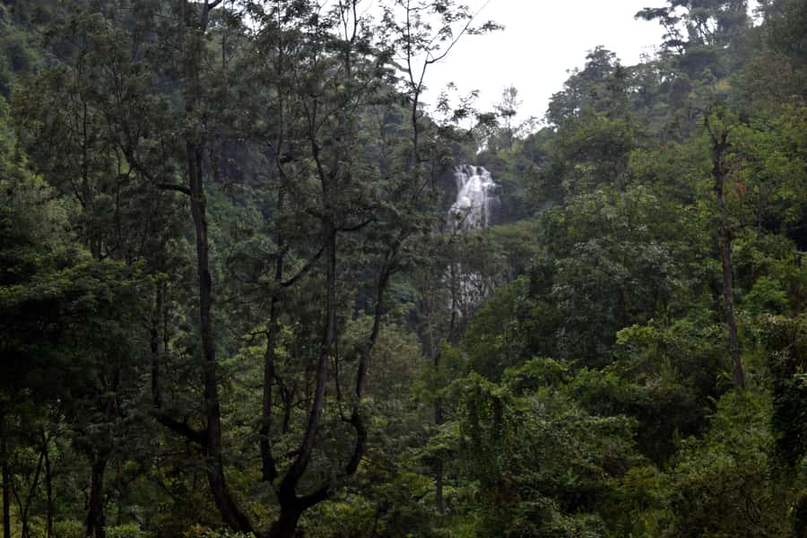 Materuni Waterfalls, Chemka Hot Springs, &/Or Coffee Tour - Guides, vehicles, and the feel of the day