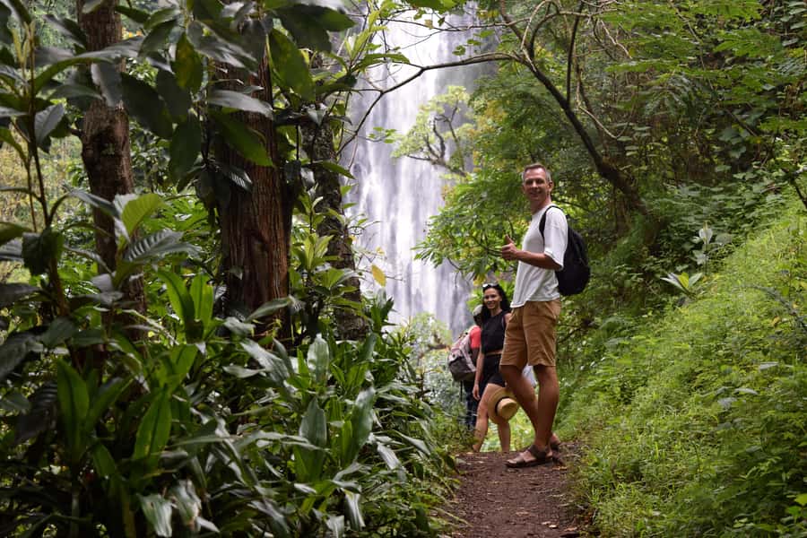 Materuni Waterfalls, Chemka Hot Springs, &/Or Coffee Tour - What the $70 price really includes