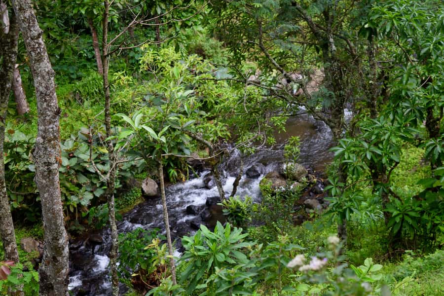 Materuni Waterfalls, Chemka Hot Springs, &/Or Coffee Tour - Who should book this experience