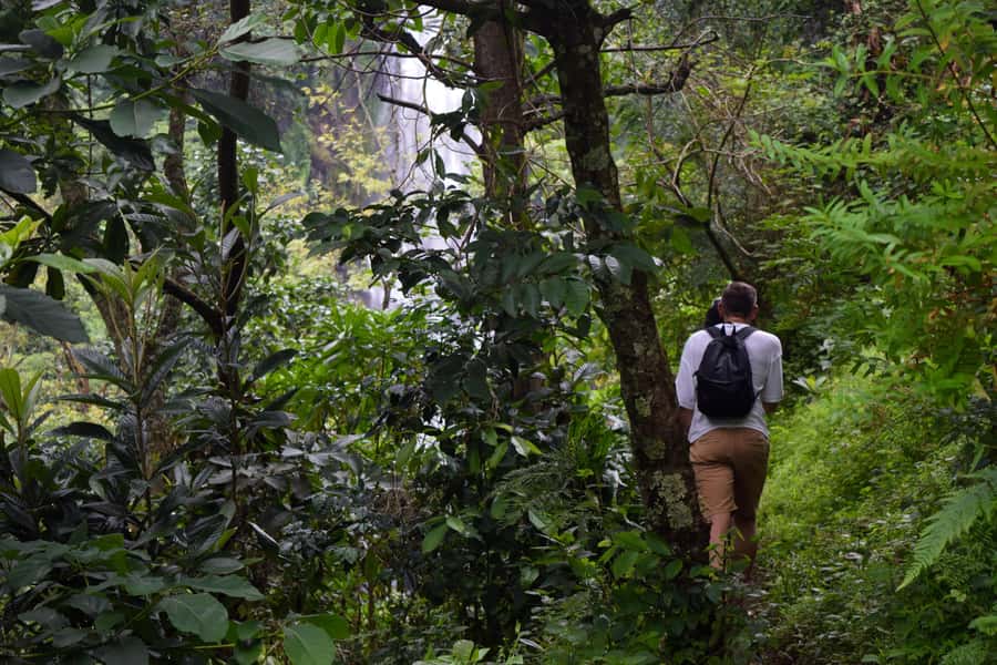 Materuni Waterfalls, Chemka Hot Springs, &/Or Coffee Tour - What to pack for a smoother day