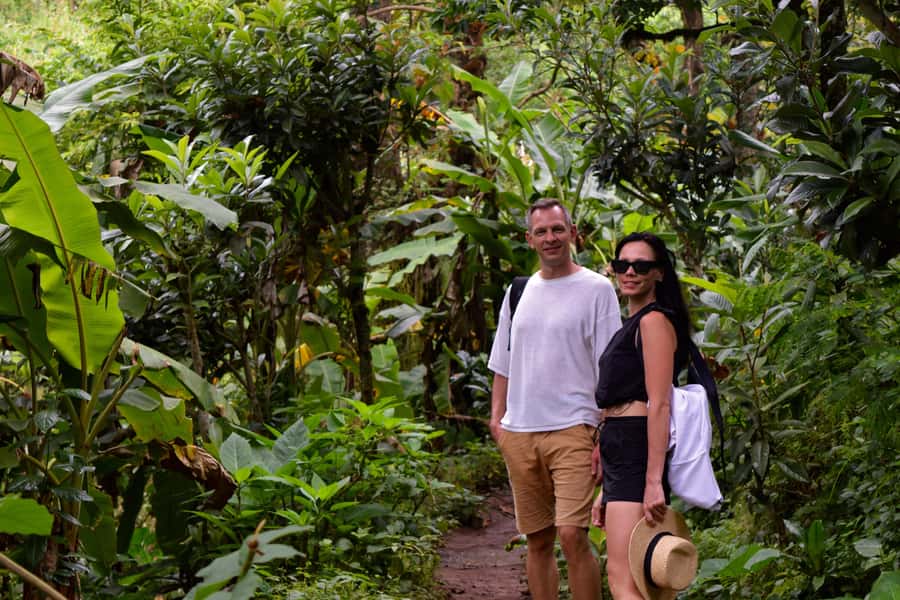 Materuni Waterfalls, Chemka Hot Springs, &/Or Coffee Tour - The walk to Materuni Waterfalls