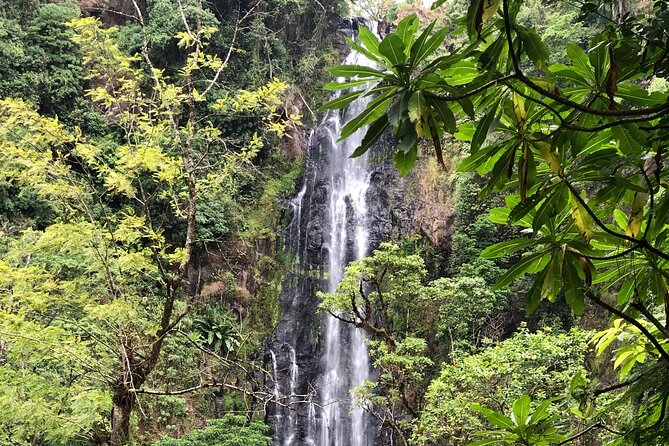 Materuni waterfalls coffee tour & Chemka hot springs Day trip - Swimming at Chemka, also called Kikuletwa