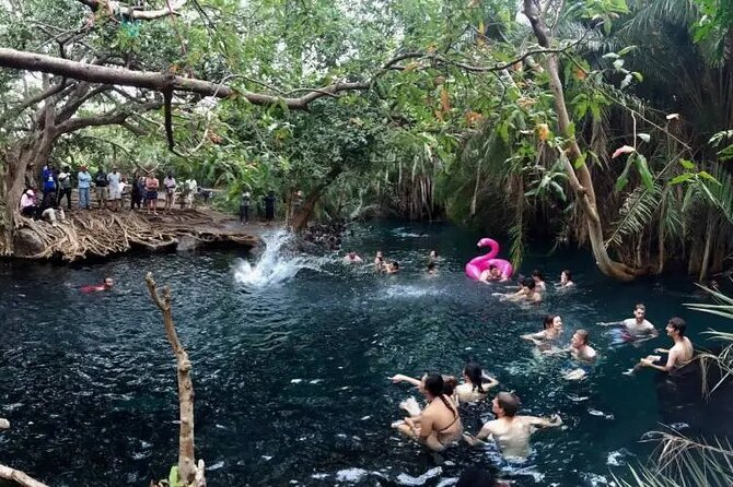 Materuni waterfalls coffee tour & Chemka hot springs Day trip - The road, vehicle, and length of the day