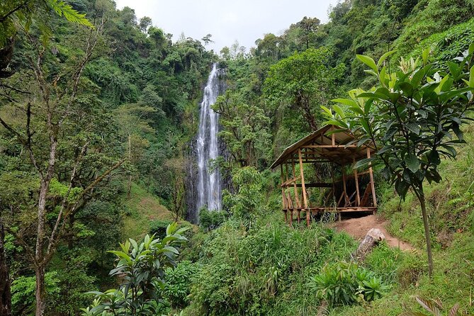 Materuni waterfalls,coffee tour & Kikuletwa(Chemka)Hot Springs - Key details worth knowing