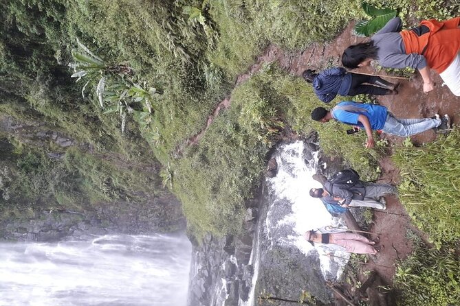 Materuni waterfalls,coffee tour & Kikuletwa(Chemka)Hot Springs - Walking through Materuni’s rainforest to the waterfall