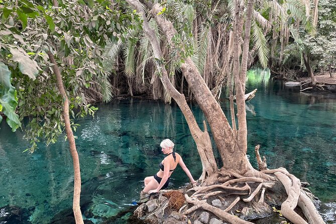 Materuni waterfalls,coffee tour & Kikuletwa(Chemka)Hot Springs - A private guide changes the pace