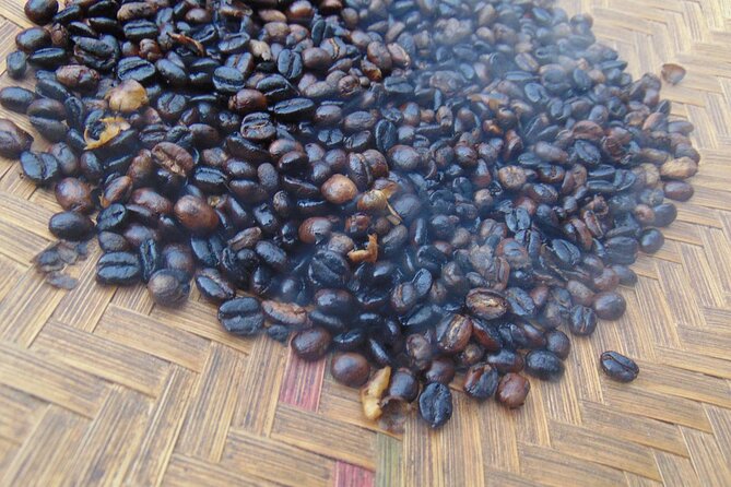 Materuni waterfalls,coffee tour & Kikuletwa(Chemka)Hot Springs - Is $100 a fair price?