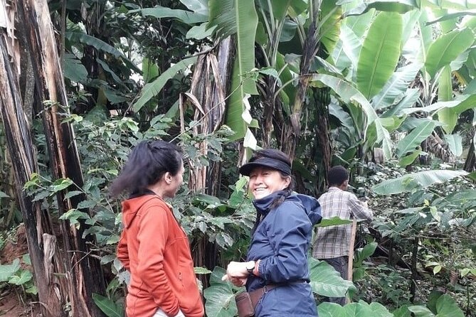 Materuni waterfalls,coffee tour & Kikuletwa(Chemka)Hot Springs - Who should book this experience?