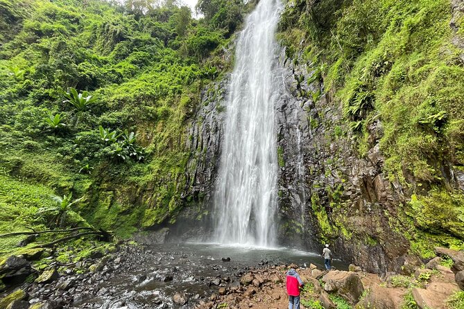 Materuni waterfalls,coffee tour & Kikuletwa(Chemka)Hot Springs - Seeing coffee go from plant to cup