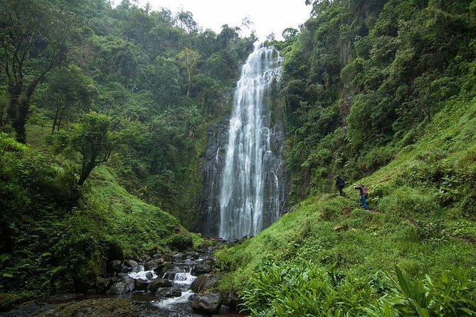 Materuni Waterfalls, coffee tour & Kikuletwa Hot Springs - Key things to know before booking