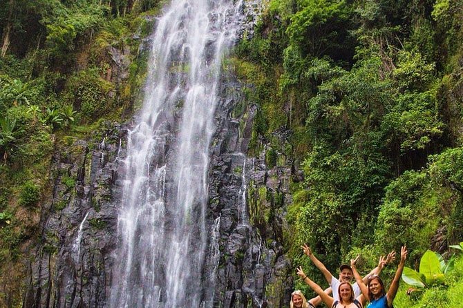 Materuni Waterfalls, coffee tour & Kikuletwa Hot Springs - Coffee from bean to cup in Chagga country