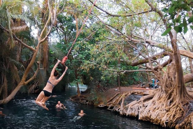 Materuni Waterfalls, coffee tour & Kikuletwa Hot Springs - What the private guide adds to the day