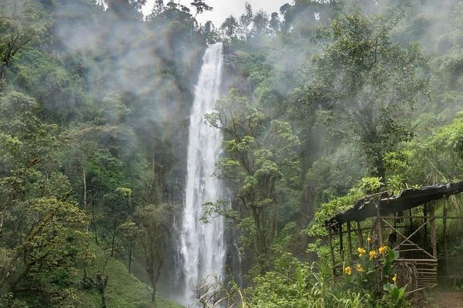 Materuni Waterfalls, coffee tour & Kikuletwa Hot Springs - How strenuous is the tour?