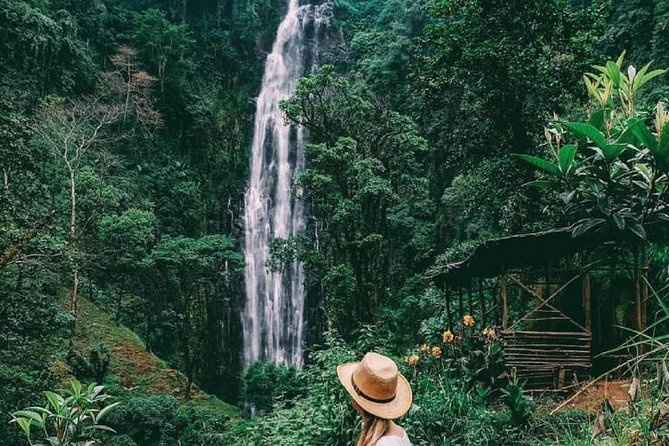 Materuni Waterfalls, coffee tour & Kikuletwa Hot Springs - Materuni Waterfall and the cold swim
