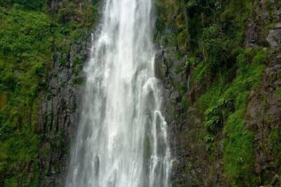 Materuni Waterfalls, Kikuletwa Chemka Hot springs, Coffee tour
