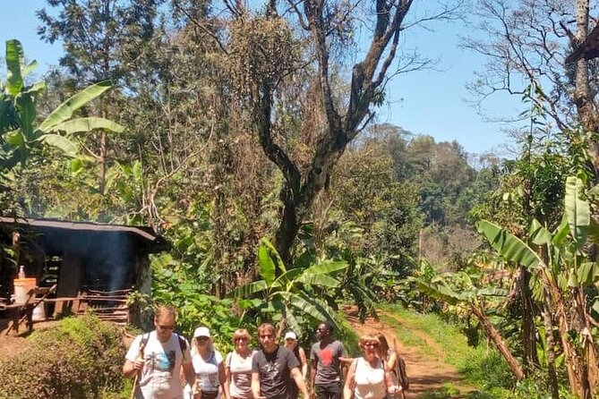 Materuni Waterfalls, Kikuletwa Chemka Hot springs, Coffee tour - What the $100 price covers