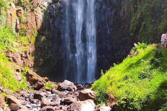 Materuni Waterfalls, Kikuletwa Chemka Hot springs, Coffee tour - Should you book this tour?