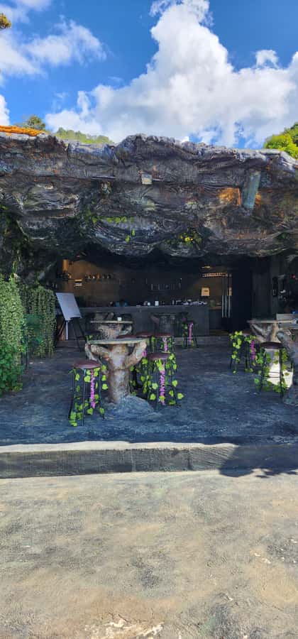 Medellin: Coffee Farm Tour & Spa with Overnight Glamping - The Coffee Temazcal and Naox Spring