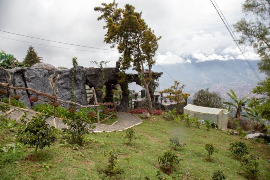 Medellin: Coffee Tour and Wellness Spa - The coffee oil massage and body scrub