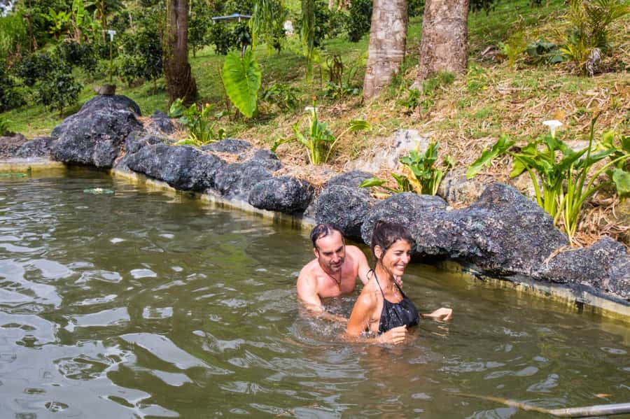 Medellin: Coffee Tour and Wellness Spa - Steam, bath, and cold water in the mountains