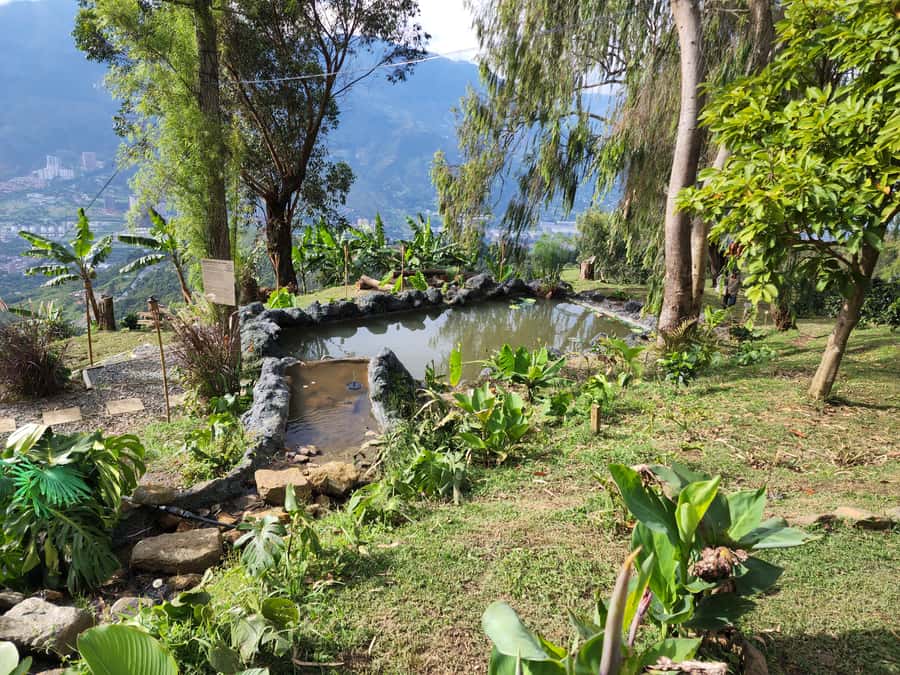 Medellin: Glamping Spa and coffee tour Experience - Sleeping in the Coffee Cave