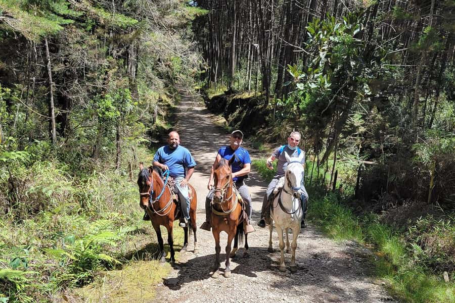 Medellin: Horseback Riding Coffee Farm Tour with Coffee Spa - Riding the old muleteer path to Don Leandro