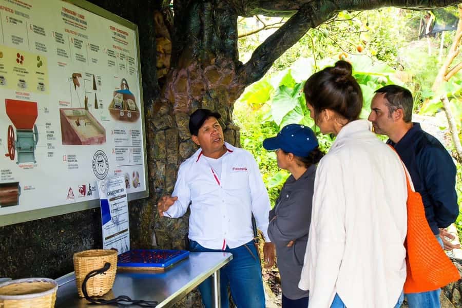 Medellin: Horseback Riding Coffee Farm Tour with Coffee Spa - Is $150 a good value?