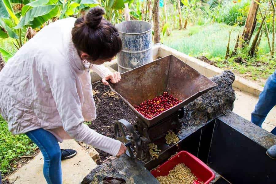 Medellin: Horseback Riding Coffee Farm Tour with Coffee Spa - Practical advice before you go