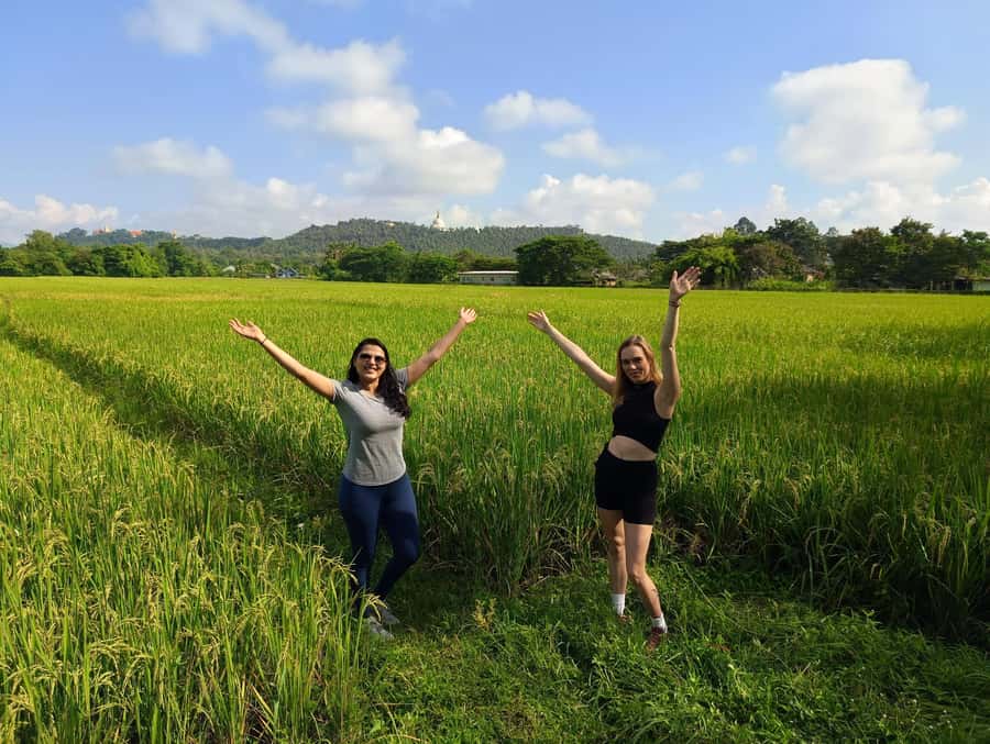 Meditation & Yoga Retreat in Nature - Key points to know before booking