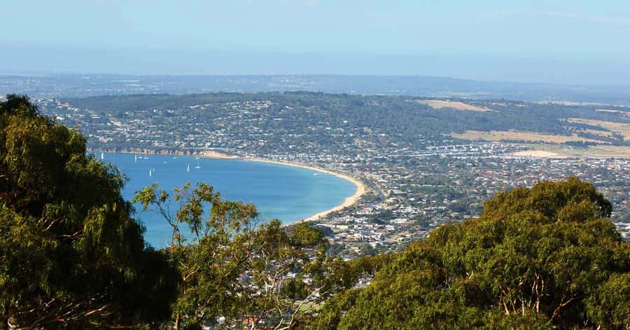 Melbourne: Peninsula Hot Springs with Lunch and Wine - Green Olive Estate turns lunch into the main meal