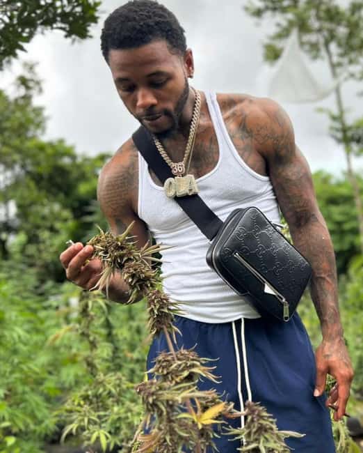 Montego Bay: Cannabis Farm, Bamboo Rafting, & Foot Massage - A Cannabis Farm Visit With Cultural Context