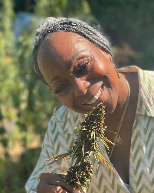 Montego Bay: Cannabis Farm, Bamboo Rafting, & Foot Massage - A Private Tour With an English-Speaking Guide