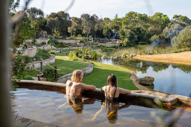 Mornington Peninsula Small Group Thermal Springs w/ Lunch & Wine - Green Olive Estate turns lunch into a proper stop