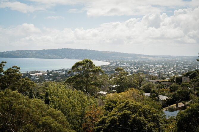 Mornington Peninsula Small Group Thermal Springs w/ Lunch & Wine - Is the $175.72 price good value?