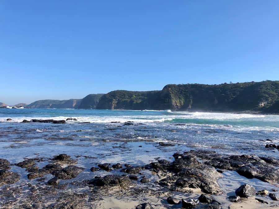 Mornington Peninsula: SUP, Hike, & Hot Springs Trip w/ Lunch - Who should book this experience?