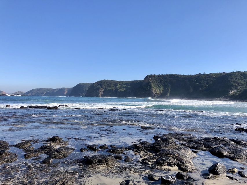 Mornington Peninsula: SUP, Hike, & Hot Springs Trip w/ Lunch - Wine with a view, then a local picnic