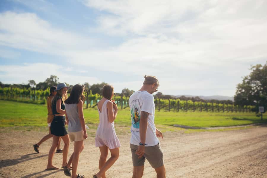 Mornington Peninsula: SUP, Hike, & Hot Springs Trip w/ Lunch - Starting beside McCrae Lighthouse