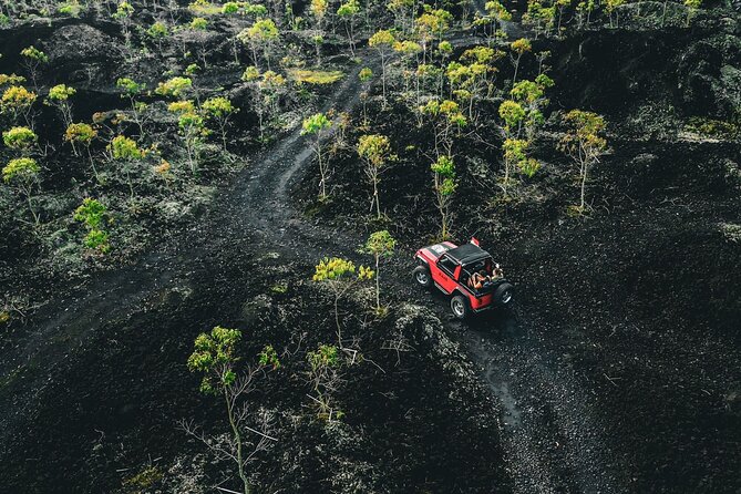 Mount Batur 4WD Jeep, Breakfast and Hot Spring All Inclusive - The Jeep ride toward the volcano