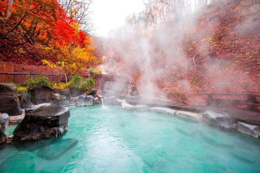 Mount Fuji - Hakone & Onsen Full Day Private Tour - Hakone Shrine and the red torii gate
