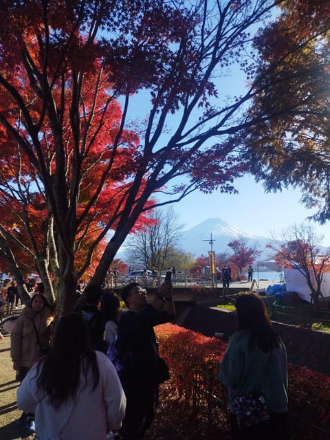 Mount Fuji - Hakone & Onsen Full Day Private Tour - An hour at Fuji Yurari Hot Spring