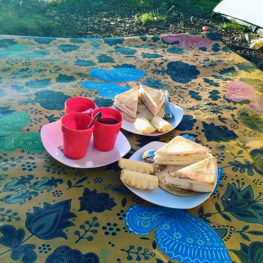 mount rinjani 3D/2N summit,lake.hot spring and crater rim - The guide and porter support