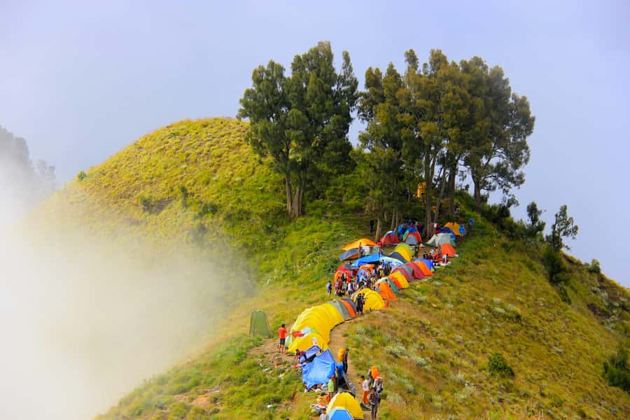 Mount Rinjani: 3D/2N Trekking to Summit, Lake and Hot Spring - Key points to know before booking